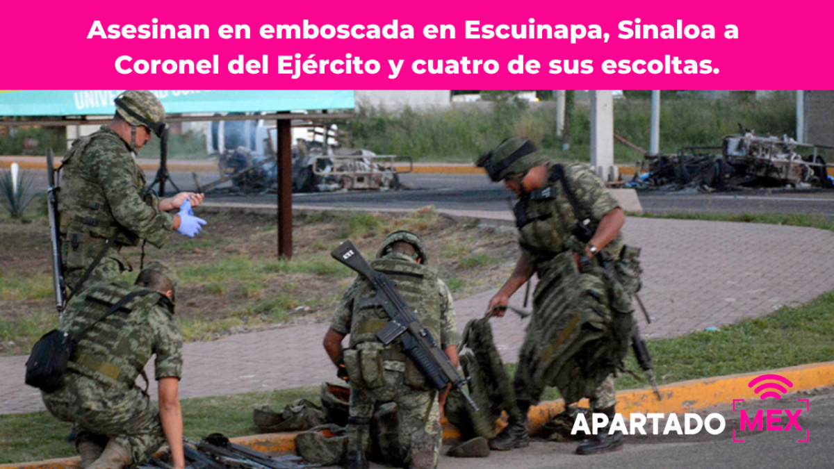 Titulo