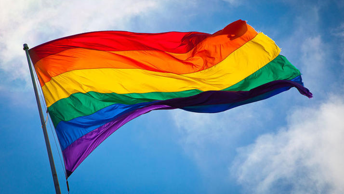 Día Internacional contra la Homofobia: Una Lucha por la Igualdad y el Respeto