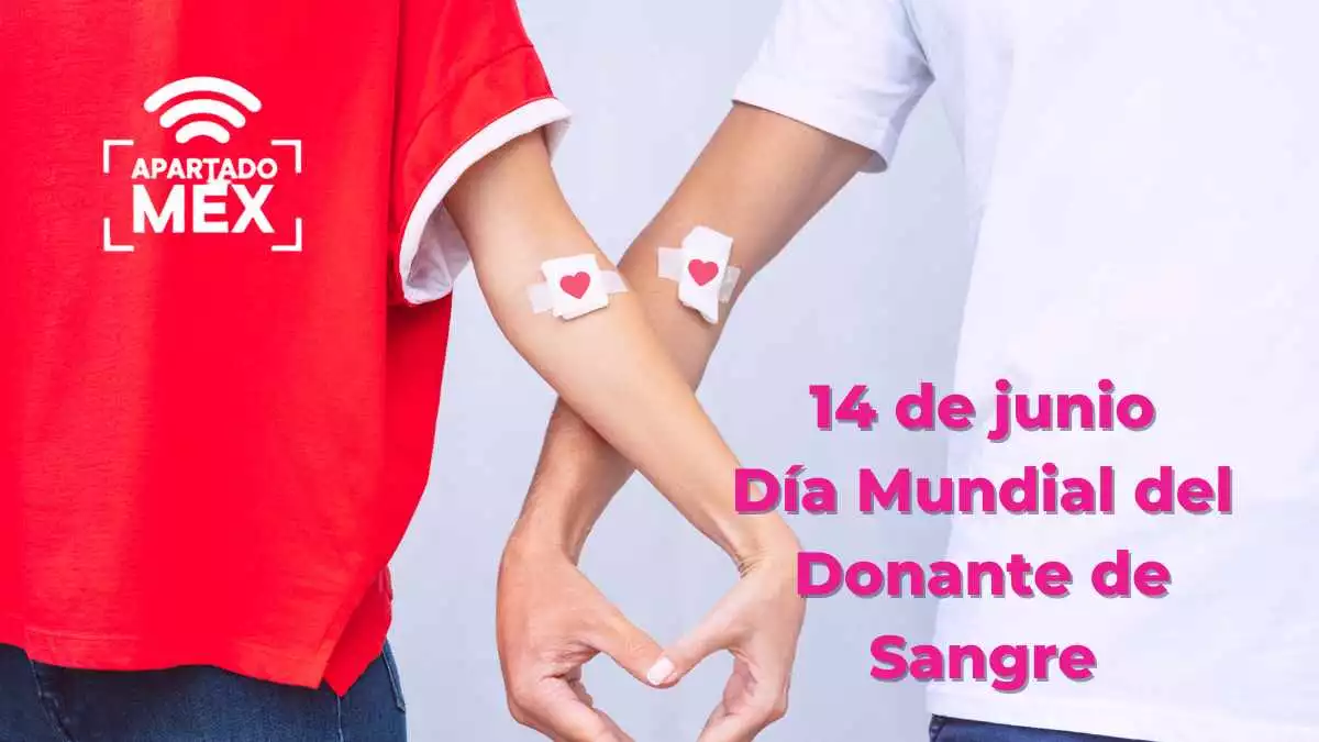 Hoy se conmemora el día del donador de sangre