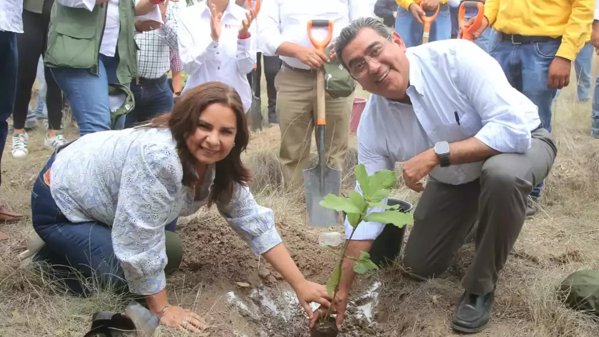 En Flor del Bosque inicia programa de reforestación estatal