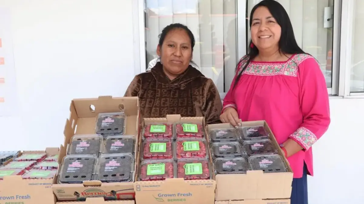 Promueve gobierno de Puebla consumo local de frambuesas