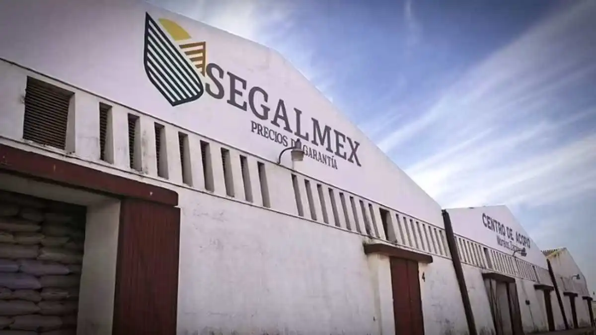 Segalmex: Detienen en Argentina a ex director comercial Manuel Lozano Jiménez