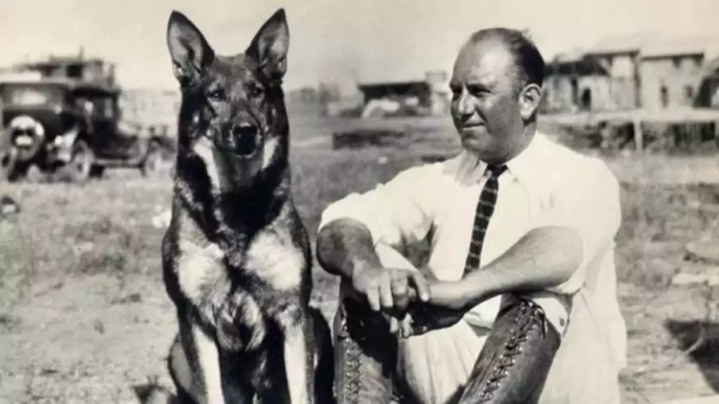 Rin Tin Tin, el perro que cautivó a la televisión 