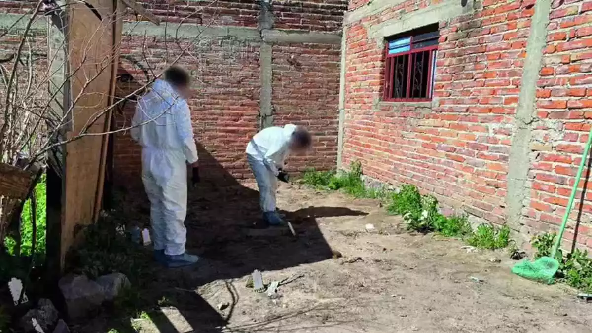 Localizan armas y restos óseos en predio en Jalisco