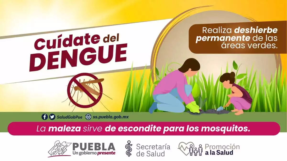 Puebla registra 14 personas hospitalizadas por dengue: Salud