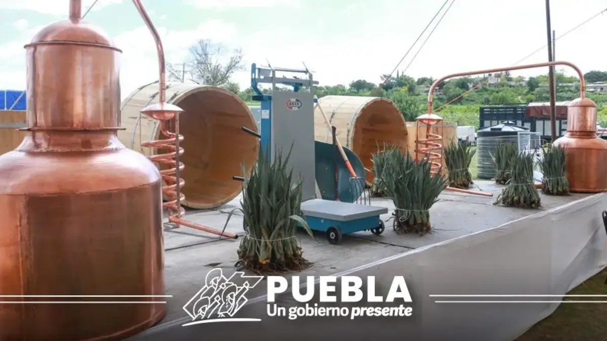 En Santa Inés Ahuatempan invierten 420 mdp para agave