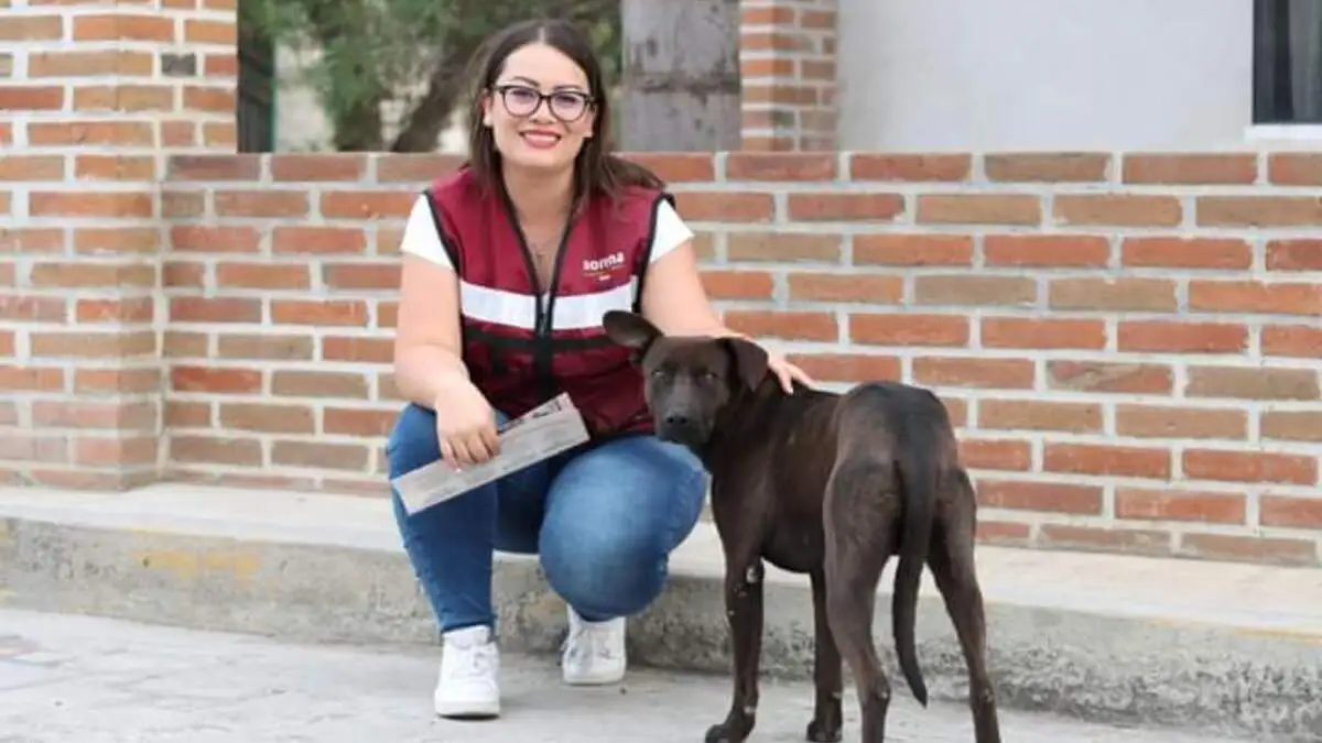 Julieta Vences pide a Fiscalía de Baja California investigue caso de Crueldad Animal