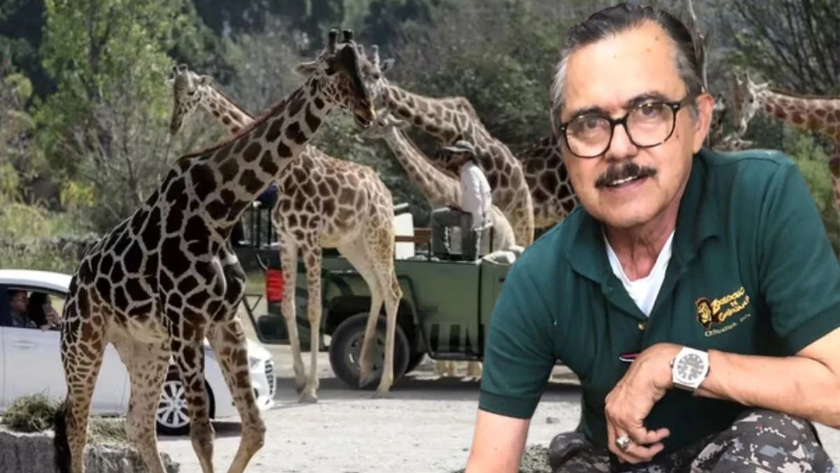 Dueño del zoológico de Chihuahua critió el traslado de Benito a Africam Safari