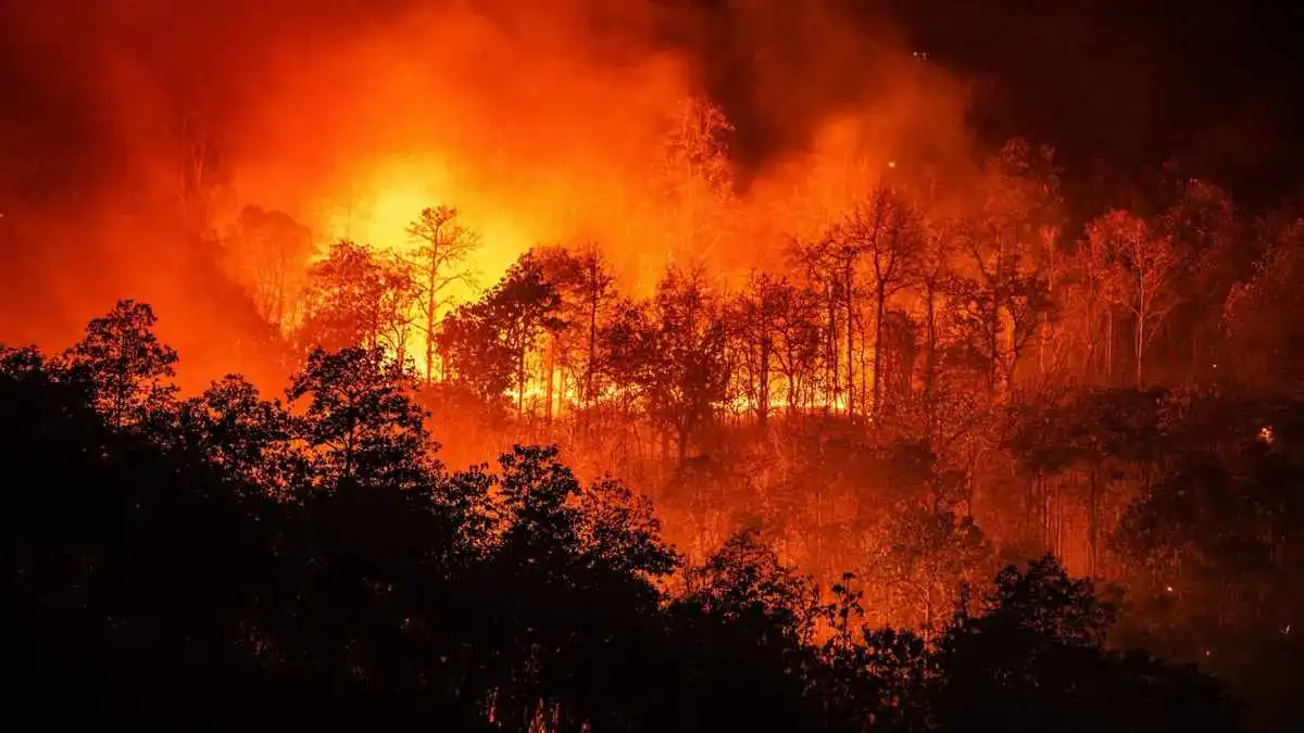 Incendios forestales persisten en diversas regiones de Puebla
