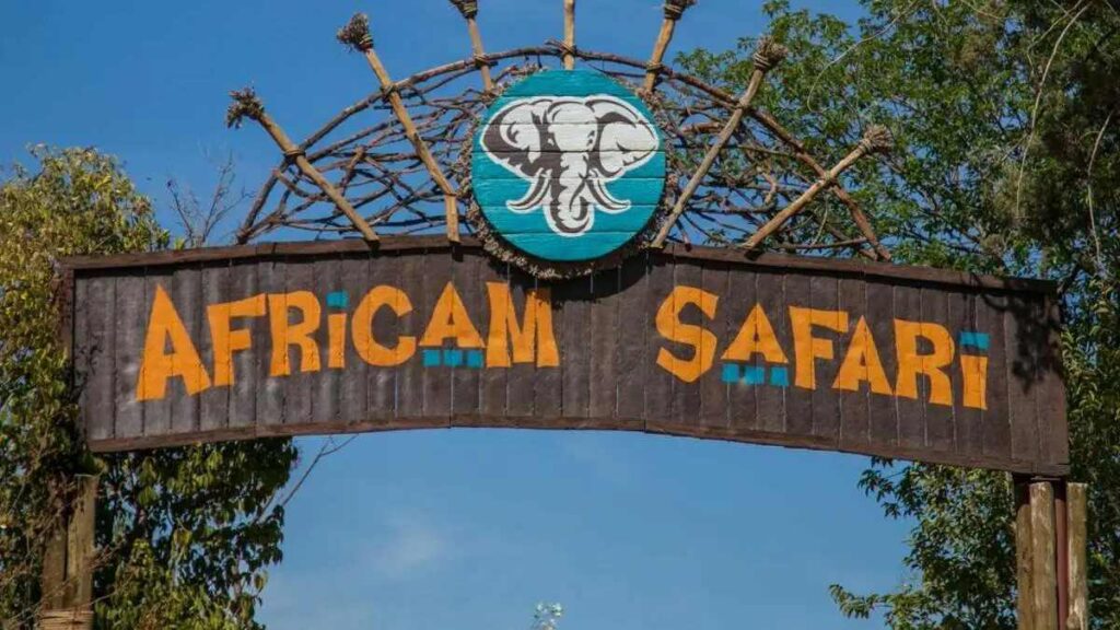 Africam Safari