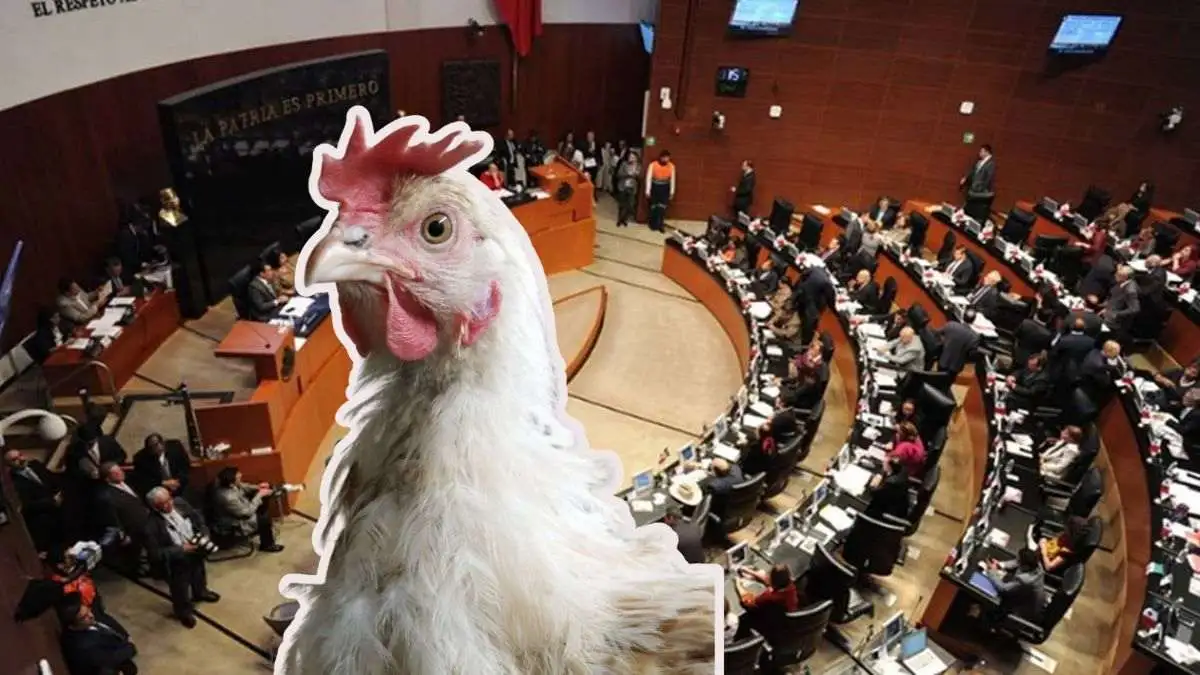 Sacrifican una gallina para Tláloc en el Senado de la República