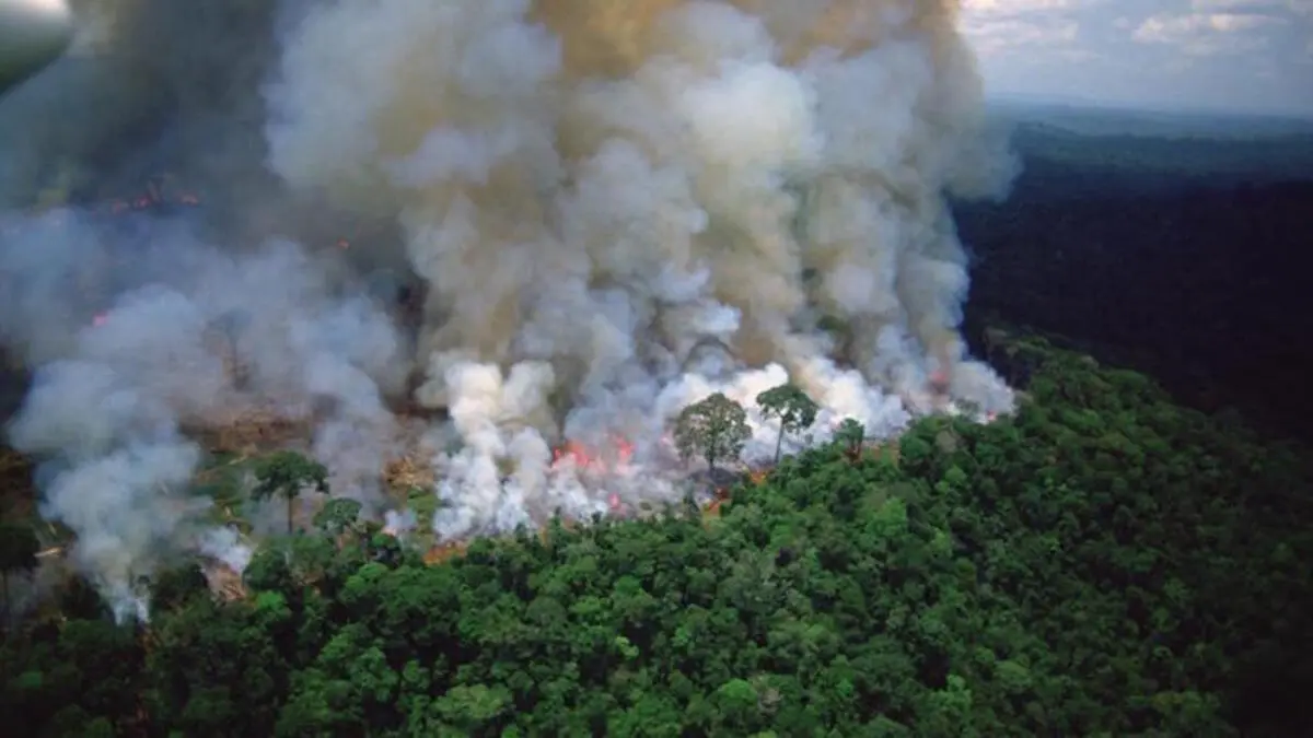 ¡La Amazonía Brasileña en llamas!