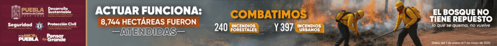 INCENDIOS FORESTALES