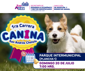 300x250_CarreraCan